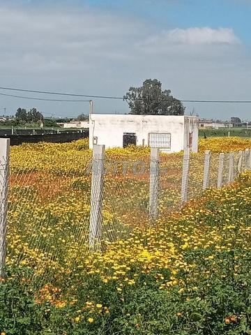 Logement excellent à prix convenable