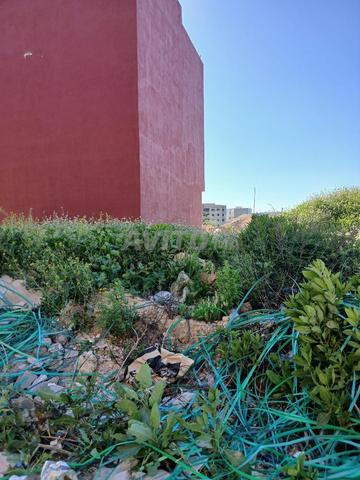 أرض 100 متر مربع - 2