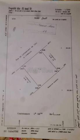 TERRAIN TITRÉ À JAMAÂ SHAIM