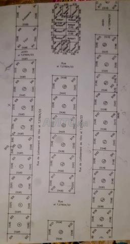 TERRAIN TITRÉ À JAMAÂ SHAIM - 2