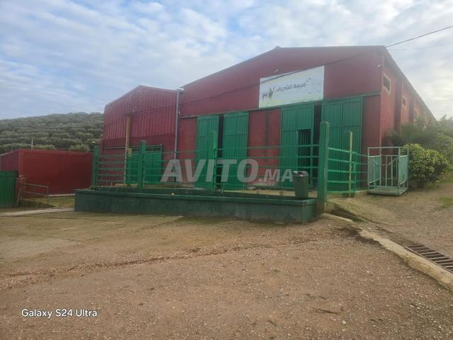 Location longue durée - 2