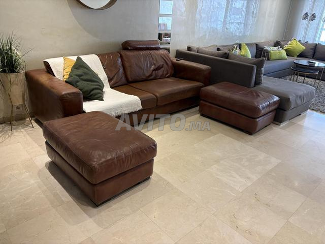 Canapé ROCHE BOBOIS – Cuir Authentique Premium ✨ - 2