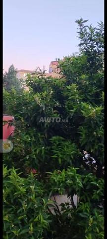 Appartement vide à louer - 2