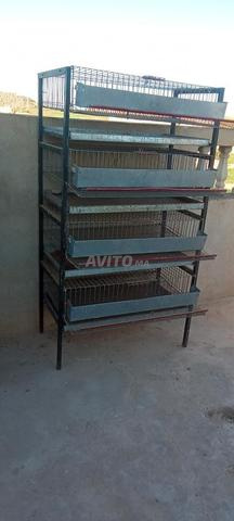 أقفاص لتربية السمان والدجاج الصغير والأرانب - 2