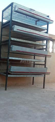 أقفاص لتربية السمان والدجاج الصغير والأرانب