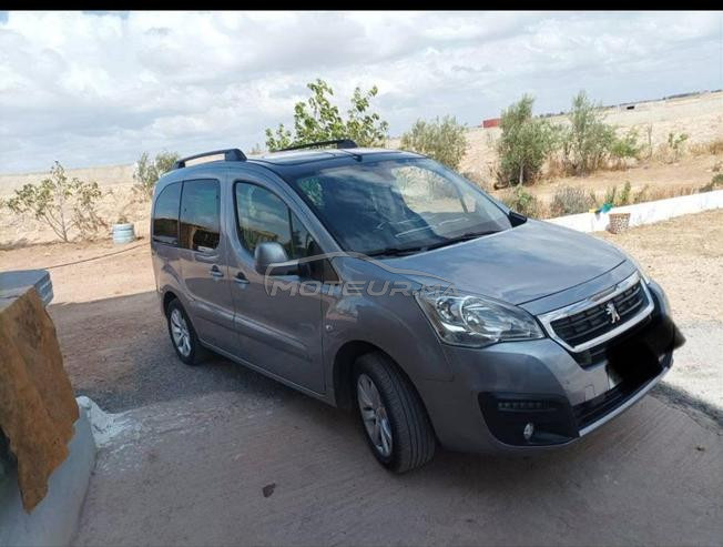 peugeot tepee