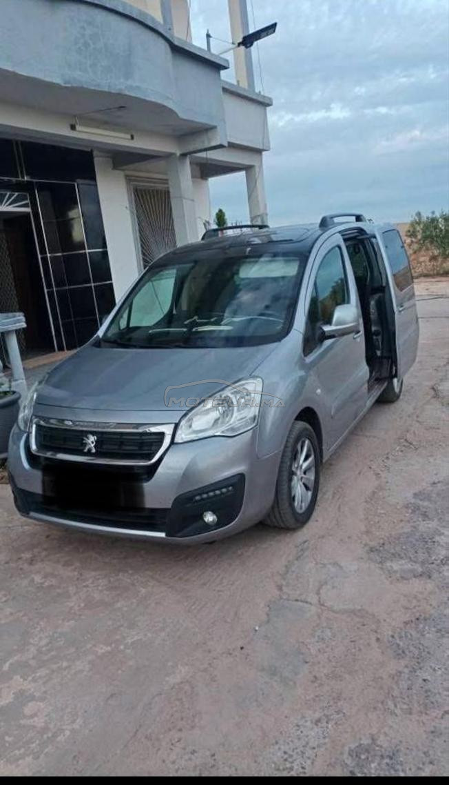 peugeot tepee