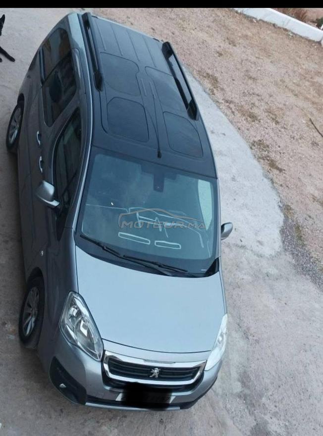 peugeot tepee