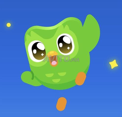 اشتراك دولينجو ديولينجو