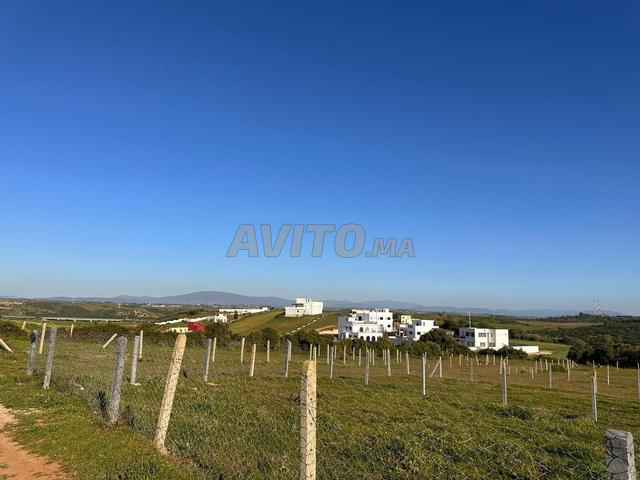 3 Lots de villas à vendre à Asilah