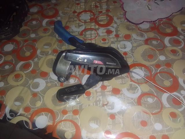 مانيتا شيمانو وفرن - 2