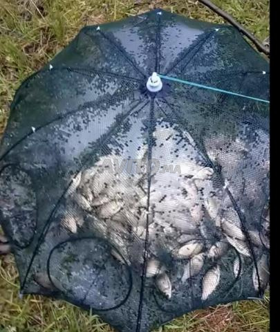 Jubia de pêche aux poissons - 2