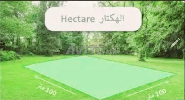 هكتار للبيع قرب القصر الملكي - البسابس - المحمدية