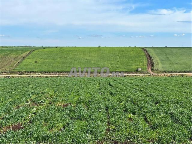 أراضٍ محفظة بشتوكة للسكن أو الاستثمار الفلاحي - 2