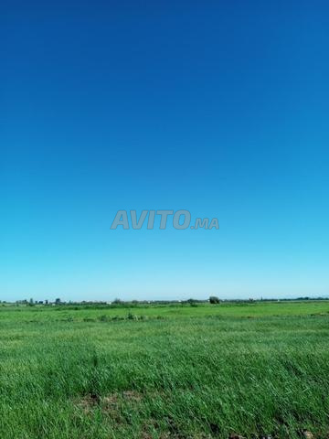 أرض للبيع في مدينة حاجب