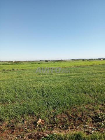 أرض للبيع في مدينة حاجب - 2