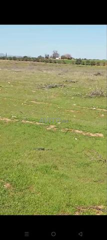 أرض للبيع في مدينة حاجب - 2