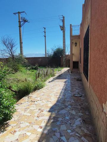 Terrain à vendre sur route de Sidi A Ghiat 5 ha