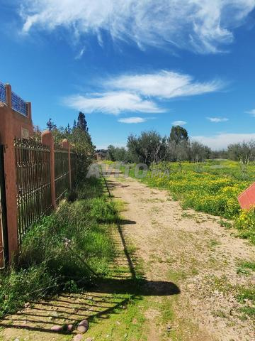 Terrain à vendre sur route de Sidi A Ghiat 5 ha - 2