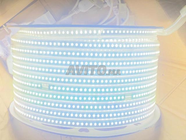 Ruban LED 220V blanc - 2