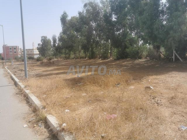 Terrain 124 m² Aït Mezal Jnan Zemmour Mchmcha - 2