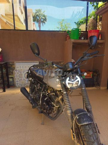 Cimatti Bobber très bon état - 2