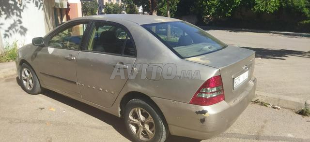 Tarek Ibn Ziad Temara - 2