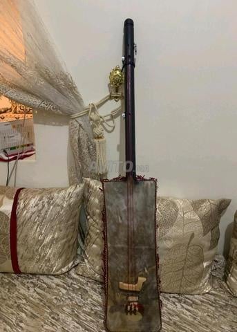 قنبري للبيع لمن يريد البدء يحتاج مطرقة