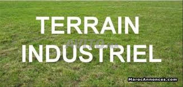 Terrain zone industrielle - 2