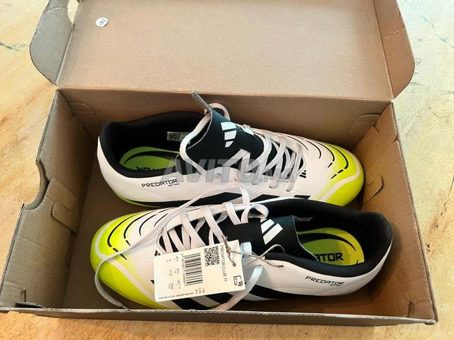 Adidas Predator Kodas - 2