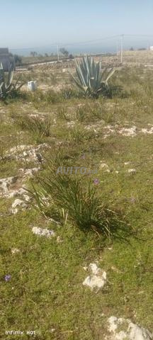 أرض للبيع قرب البحر - 2