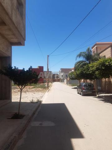 أرض للبيع سلووان تاوريرت بوسيطة - 2