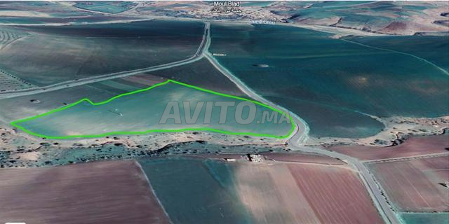 Terrain agricole titré à vendre - 2