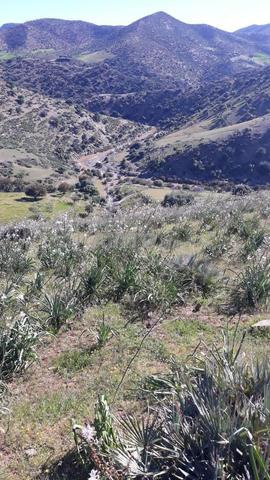 Terrain agricole titré 31 hectares à Khénifra - 2