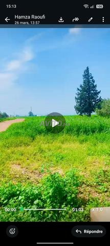 Terrain agricole près de l'autoroute Casablanca - Khouribga