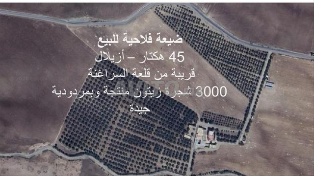 Ferme équipée de 45 hectares à vendre – Azilal