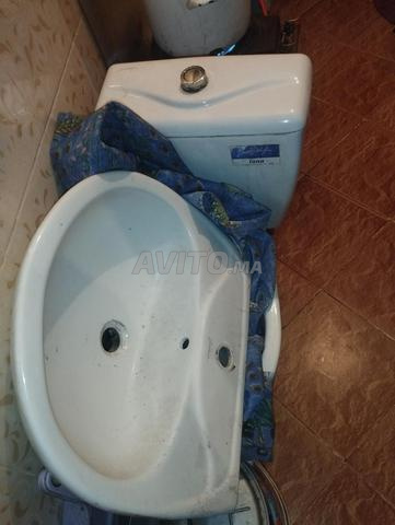 Cage oiseau ... lavabo et toilette - 2