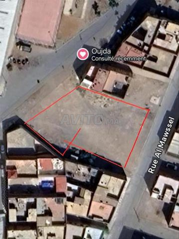 أرض محفظة للبيع قريبة من وسط وجدة