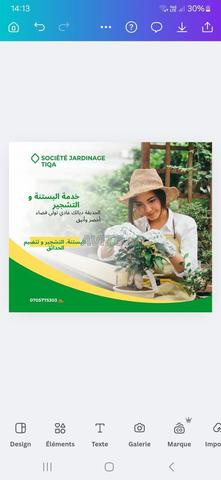 خدمات البستنة والتشجير وتنظيم الحدائق عند الثقة