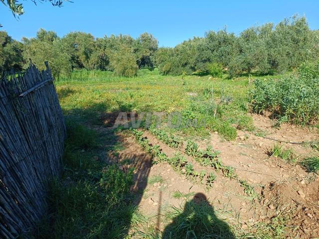 Terrain agricole et maison écologique à vendre