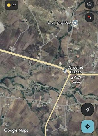 Terrain à vendre crochet Blanco Tanger - 2