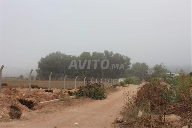 A vendre terrain pour tourisme & hôtellerie - 2