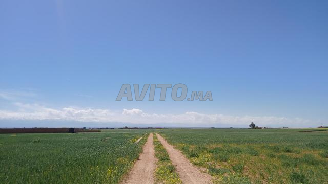 400 متر ملكية - 2