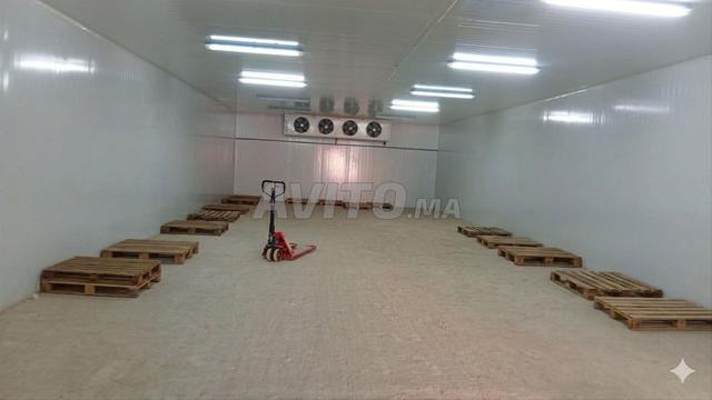 غرفة تبريد بمساحة 382 متر مربع - 2