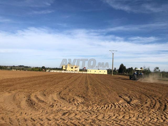 Terrain agricole Titré avec Puit et Électricité - 2