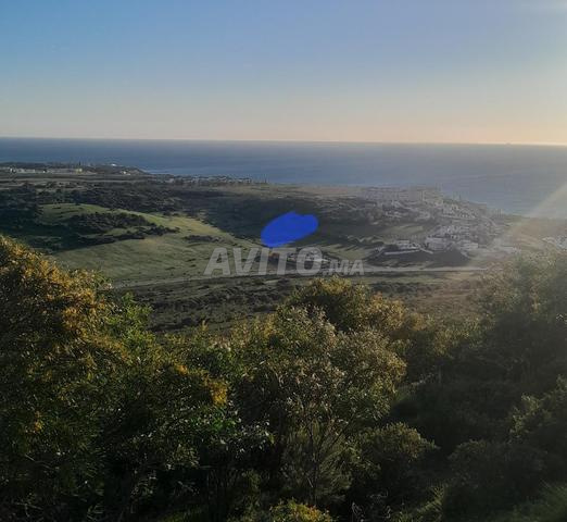 Terrain titré près de la mer à Ashkar - 2
