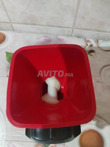 hachoir manuelle - 2