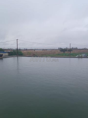 أرض للبيع في طريق أوريكا - 2