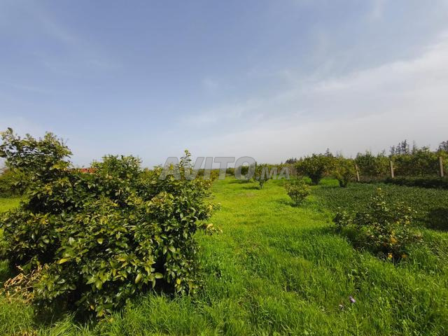 Très beau terrain à vendre - 2