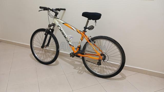 دراجات رياضية - 2